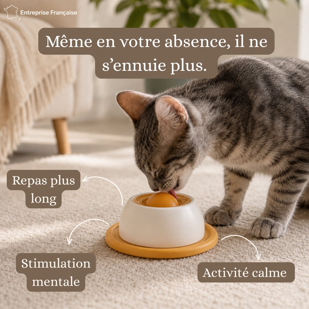 Balle à lécher interactive