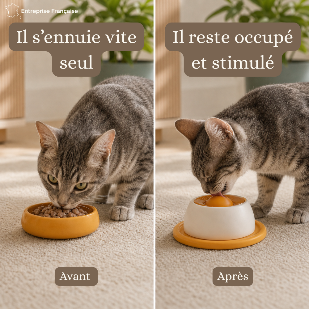 Balle à lécher interactive