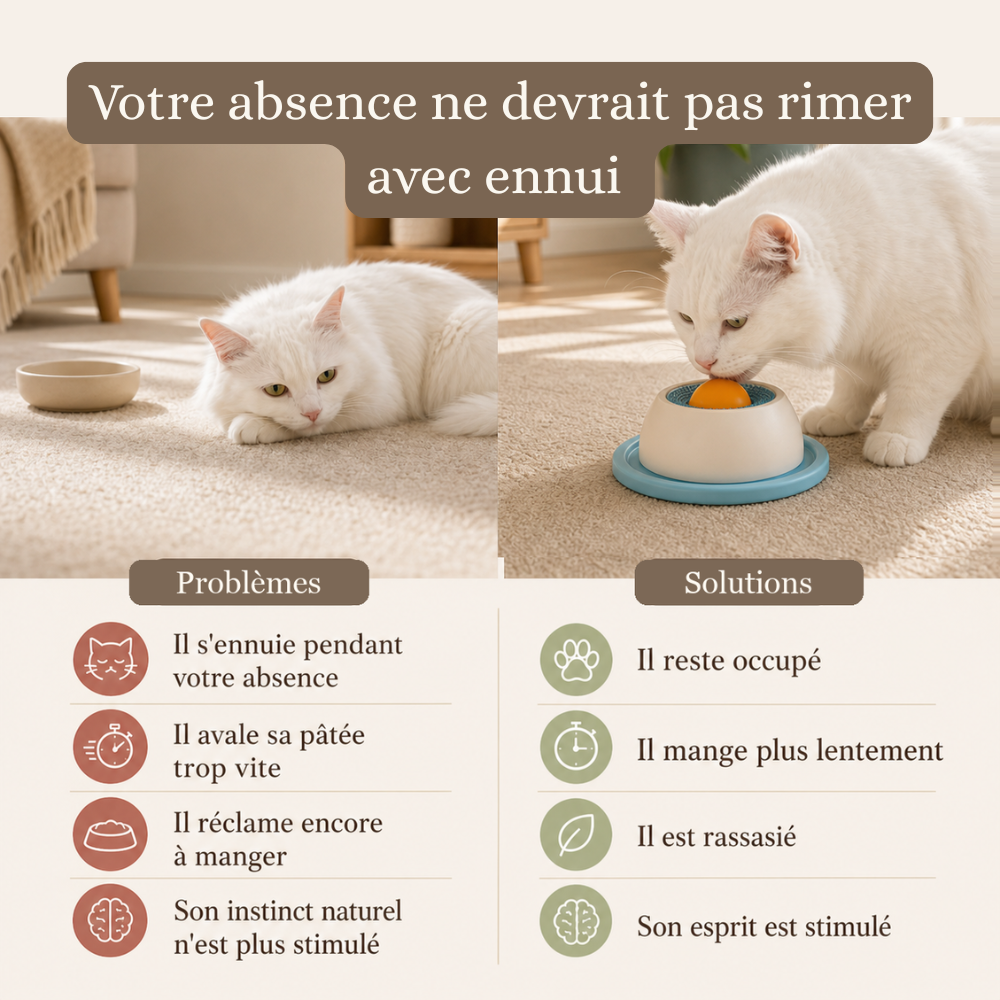 Balle à lécher interactive